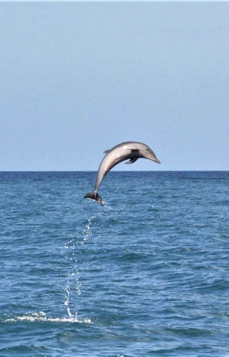 KAIRIDREAM MARTINIQUE