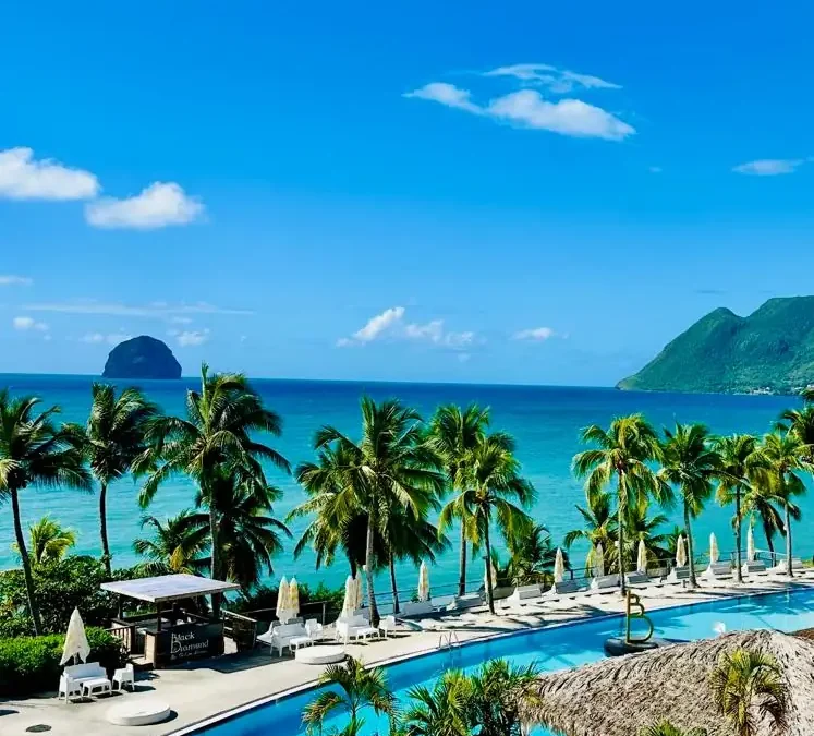 Zoom sur Le rocher du Diamant